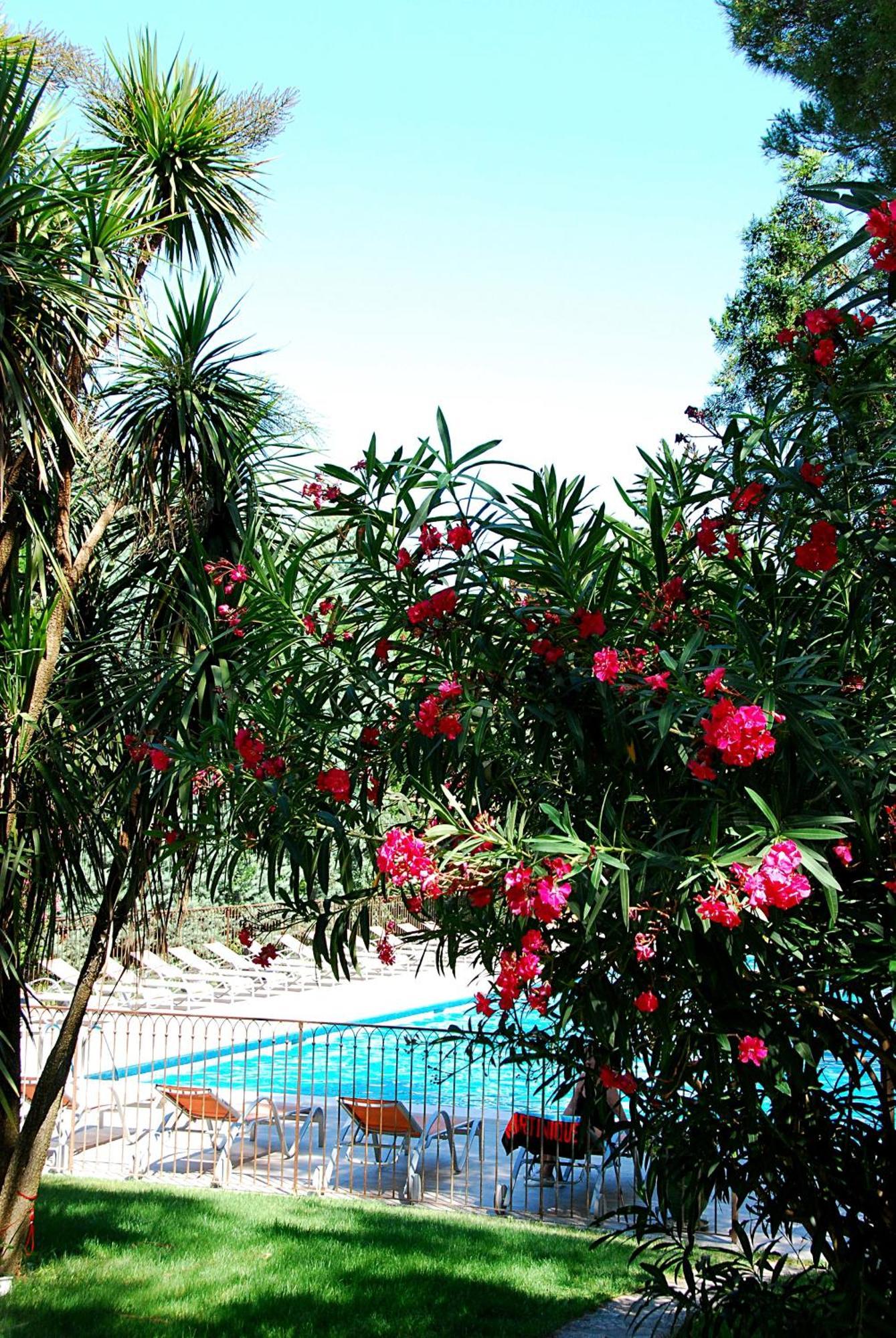 Hotel Les Mazets Des Roches 타라스콩 외부 사진