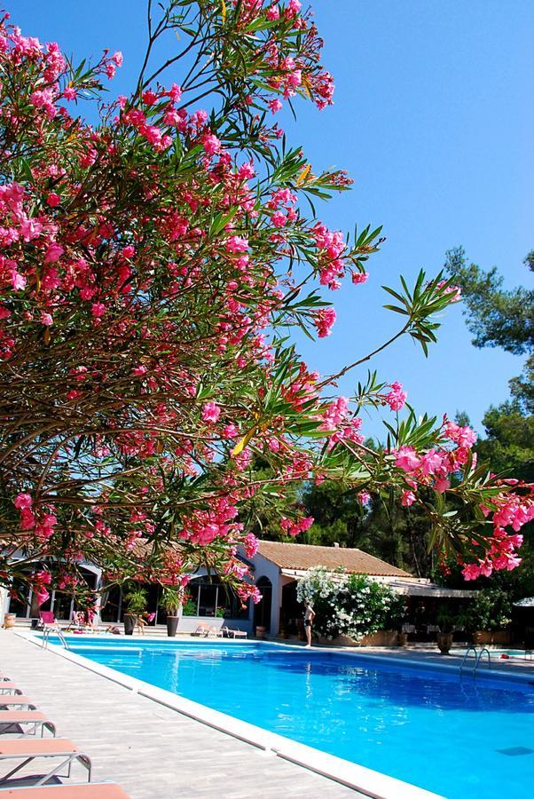 Hotel Les Mazets Des Roches 타라스콩 외부 사진