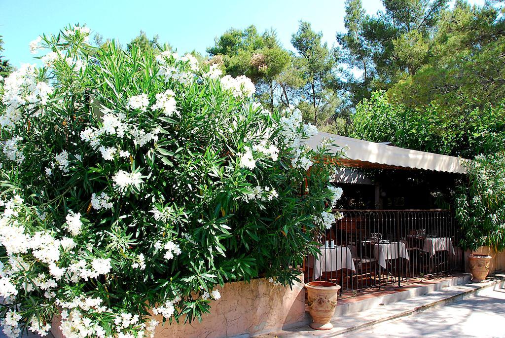 Hotel Les Mazets Des Roches 타라스콩 외부 사진